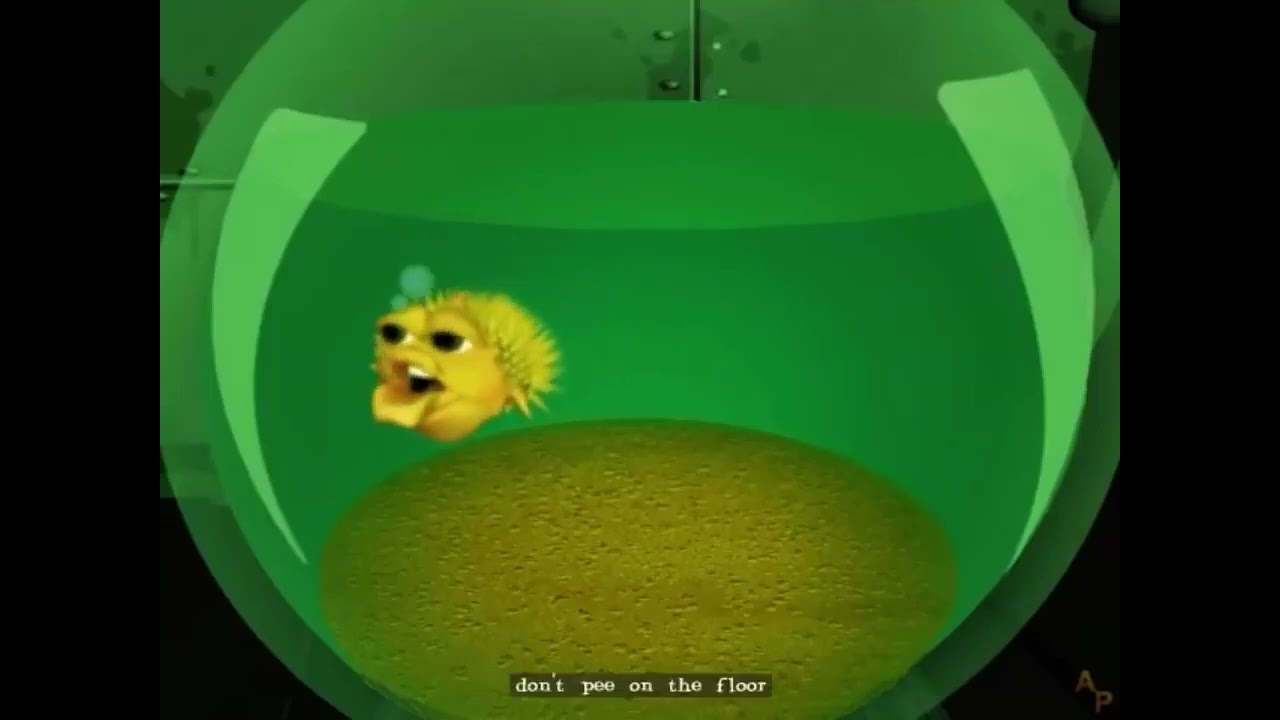 don't pee on the floor, use the comedore YouTube