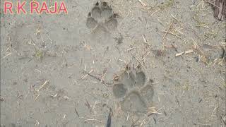 शर क पज क नशन मल