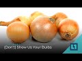 Level1 News October 13 2020: (Don't) Show Us Your Bulbs