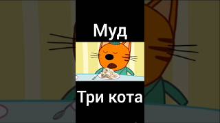 Муд Три Кота Кулинарное Шоу