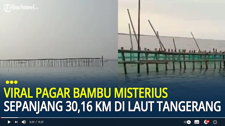 Viral Pagar Bambu Misterius Membentang Sepanjang 30,16 Km di Laut Tangerang