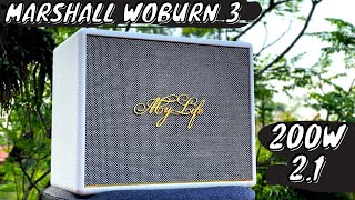 DIY MARRSHALL WOBURN 3 ( 200W ) FROM WHUZI ZK-TB22P | NTD DIY