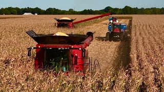 Earliest Start to Corn Harvest. Southwest Ohio Corn Harvest 2026.