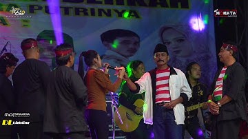 New monata-Hadirmu bagai mimpi