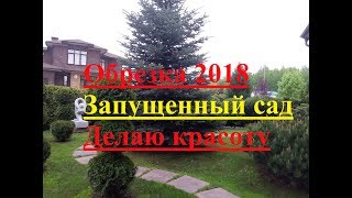 Как обрезать старые деревья весной. Как обрезать старые деревья весной.
