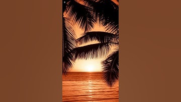 |Multi pictures Editing| |Morning Sunrise Vibes|#Shorts