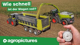Mais häckseln auf Zeit: Wie schnell füllt der Claas Jaguar 1200 den Fliegl Cargos 760 Tridem?