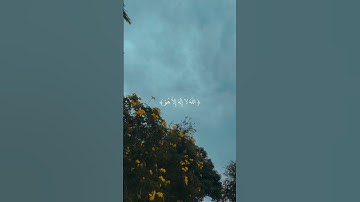 الله لا اله إلا هو - آيه الكرسي - سورة البقرة - عبد الباسط عبد الصمد