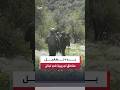 واشنطن تعلن تشغيل أولى المناطق التجريبية في لبنان