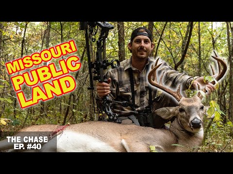 Missouri Public Land Buck Down! First Sit Of The Year!!