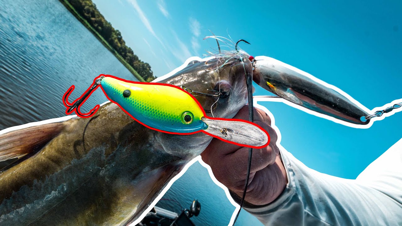 He Got My LURE Back! (Couldn't BELIEVE IT) 