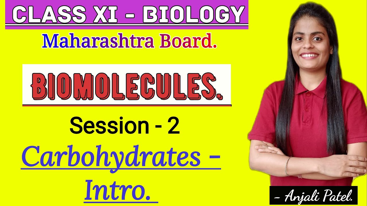 Class XI Biology Biomolecules Carbohydrates Introduction. YouTube