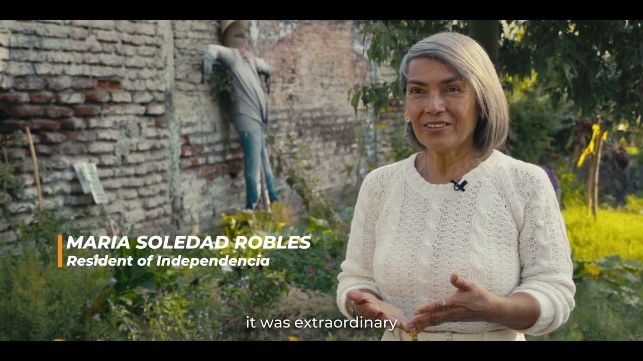 ARA Micro-grants - ICLEI Independencia (Chile)