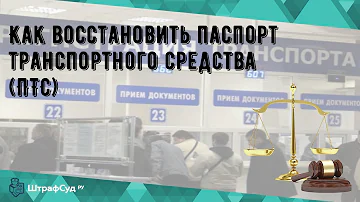 Как восстановить паспорт транспортного средства (ПТС)