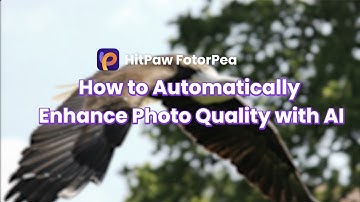 AI Photo Enhancement: How to Enhance Quality in Seconds？