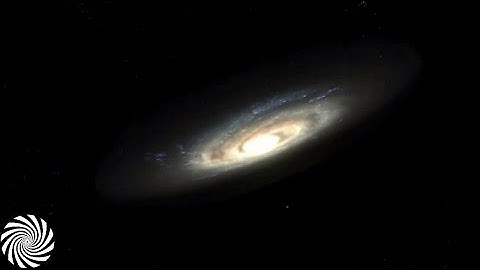 DigiCult - Microcosmos