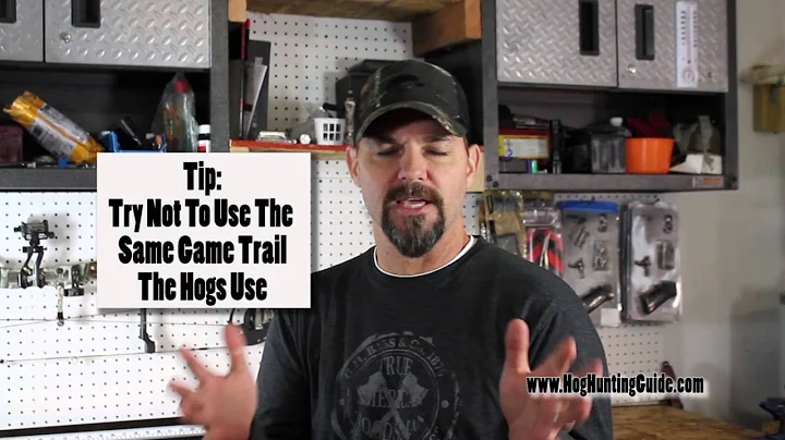 Hog Hunting Tips : Scent Control