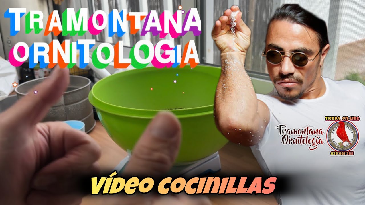 Vídeo cocinillas 🧑‍🍳 de mi pasta de cría con germinado!! 