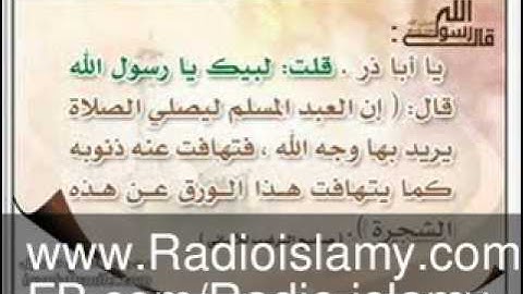 سورة النساء | محمد المحيسني