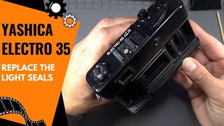 Yashica Electro 35 - Replace Light Seals