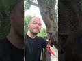 Quintara video
