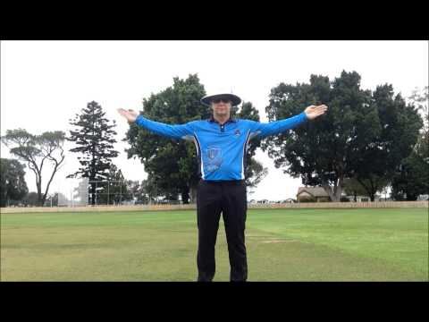 Cricket Umpire Signals - HD