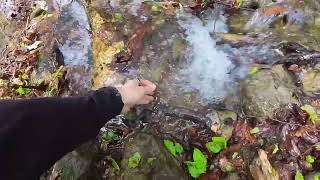 【メンバー限定】栗駒山登山　1日目：千年クロベ　2日目：栗駒山山頂