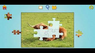 🐄 Highland Cattle Jigsaw Puzzle - Photo Jigsaw Puzzles for Kids screenshot 5