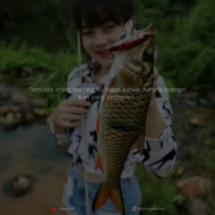 Story wa terbaru 30 detik pemancing || mancing ikan
