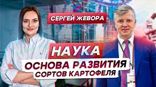 КАРТОФЕЛЕВОДСТВО В РОССИИ. РОССИЙСКИЕ ТЕХНОЛОГИИ. УРОЖАЙНОСТЬ И КАЧЕСТВО КАРТОФЕЛЯ. СЕРГЕЙ ЖЕВОРА