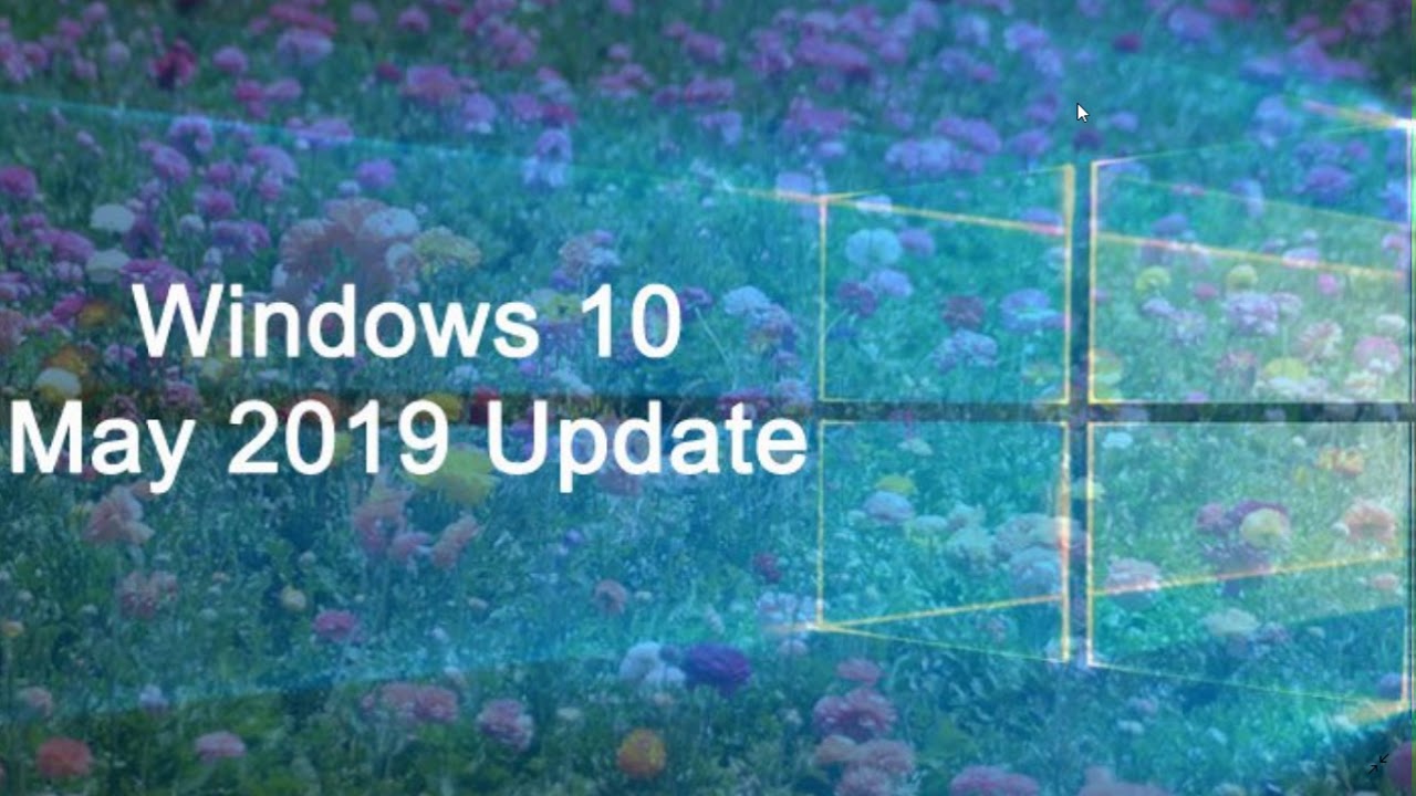 what-to-do-before-installing-windows-10-may-2019-update-on-your-pc