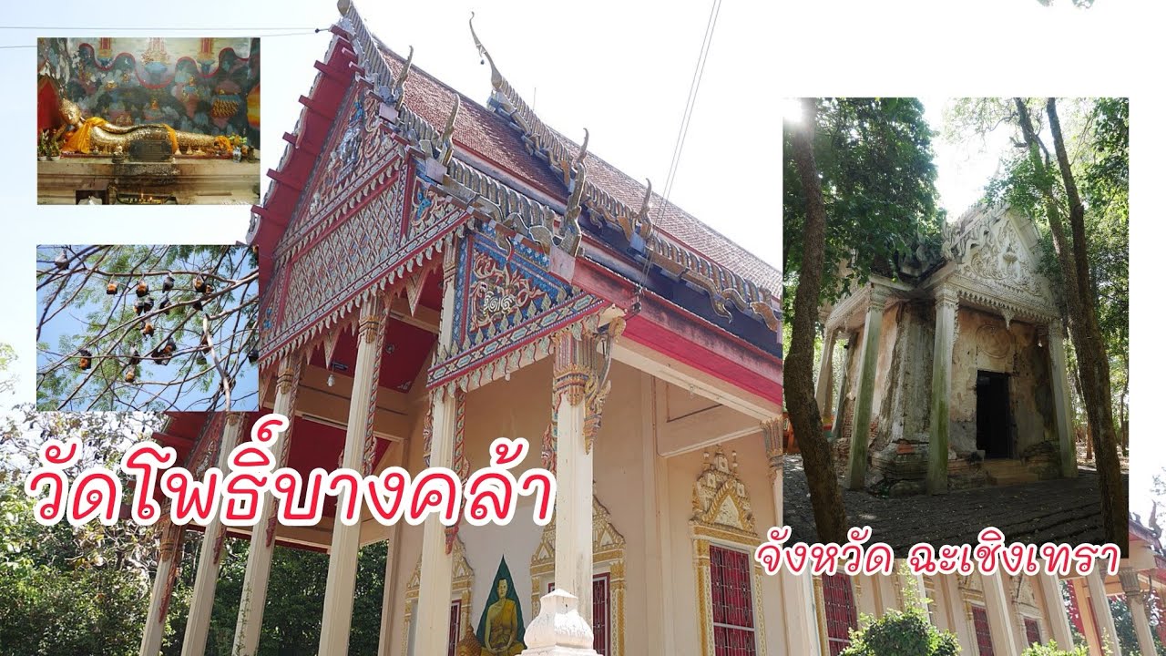 วัดโพธิ์บางคล้า ฉะเชิงเทรา ชมโบราณสถาน ศาลสมเด็จพระเจ้าตากสิน เยือนถิ่นค้างคาวแม่ไก่