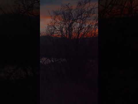 Sunset audio from
