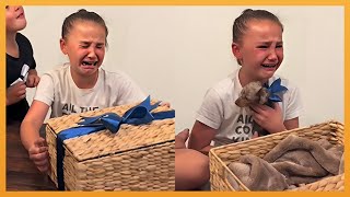 NEW PUPPY SURPRISE COMPILATION 2024 | WHOLESOME SURPRISE MOMENTS
