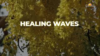 Music For Meditation | Healing Waves | Ancient Indian Music screenshot 4