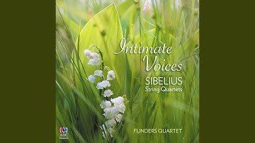 String Quartet No. 4 in D Minor, Op. 56 ‘Intimate Voices’: I. Andante - Allegro molto moderato