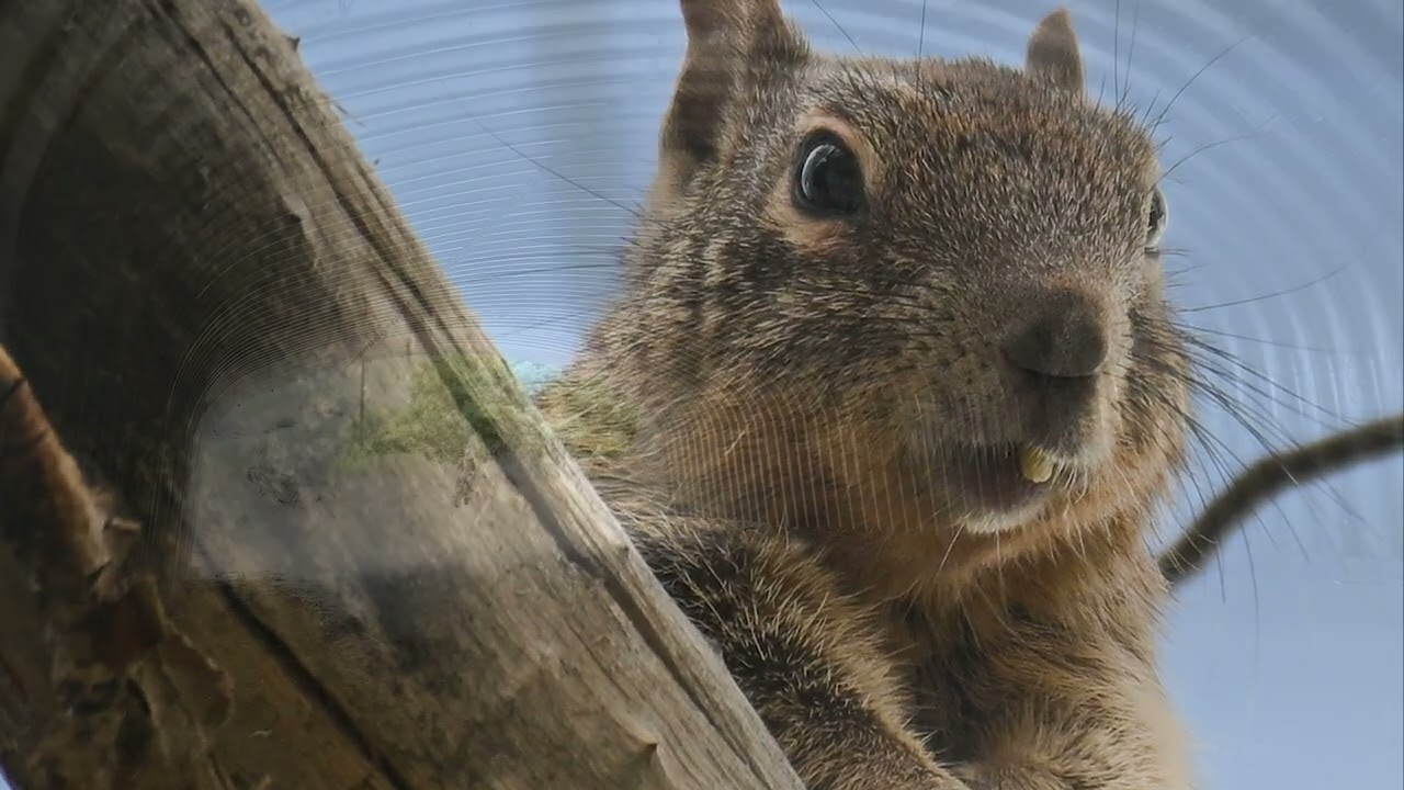 Provo River Trail Hike