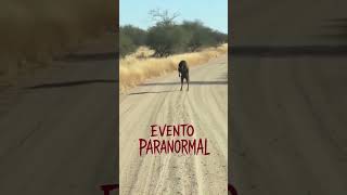 EVENTO PARANORMAL 😱 se toparon al Diablo 😈 