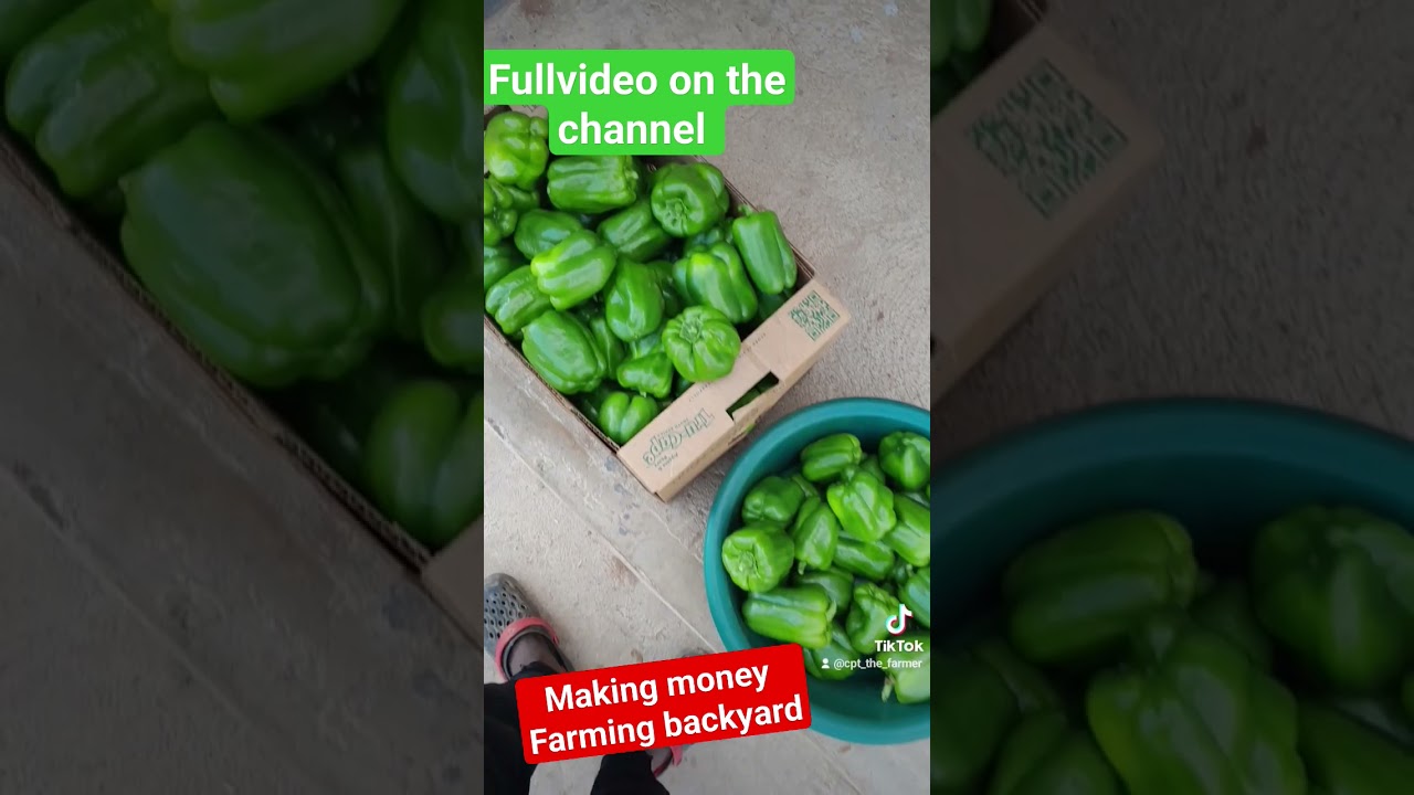 how to make money farming in your backyard 