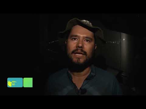 Sem espaço, milho se acumula na reta final da colheita em Mato Grosso