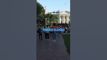Thumbnail of Pres. Trump To Protestors:- FAFO #usa #2025 #shorts #maga #protest #nationalguard #dc #news #police