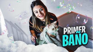 EL PRIMER BAÑO DE MI MASCOTA BAIT | FatiVázquez EL PRIMER BAÑO DE MI MASCOTA BAIT | FatiVázquez