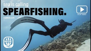 SEAC SPEARFISHING