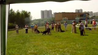 SNB10723.AVI
