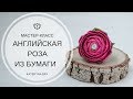 Английская роза из гофрированной бумаги с конфетой | Мастер-класс | Свит дизайн
