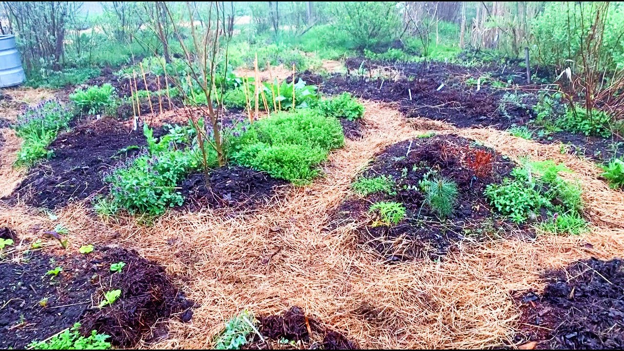 Evening Wander - SO much potential this year!