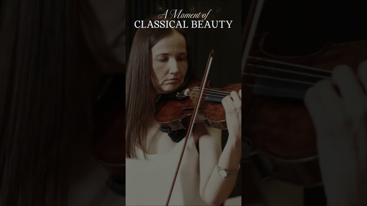 Music in Motion 2 #stringquartet #chambermusic #instrumentalmusic