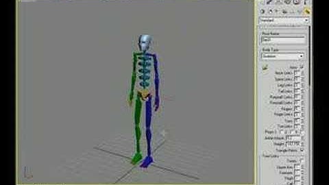 Bones in 3ds Max (Biped 1)