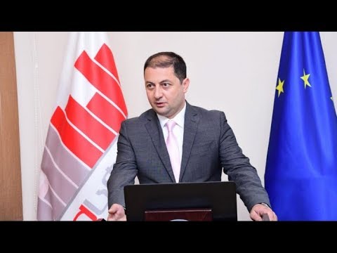 გოგიტა თოდრაძე /ეკონომიკა / Gogita Todradze / Economics