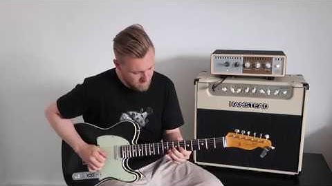 Allan Salmon Talks Strings Interview | ELIXIR Strings